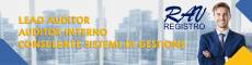 Lead Auditor